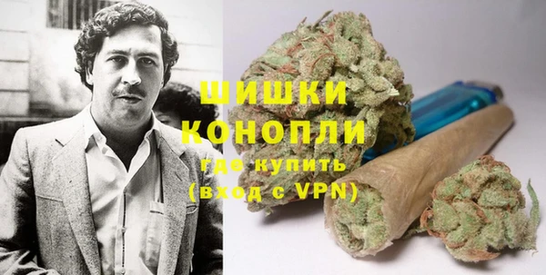 spice Алзамай