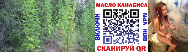 ТГК вейп с тгк  Емва 